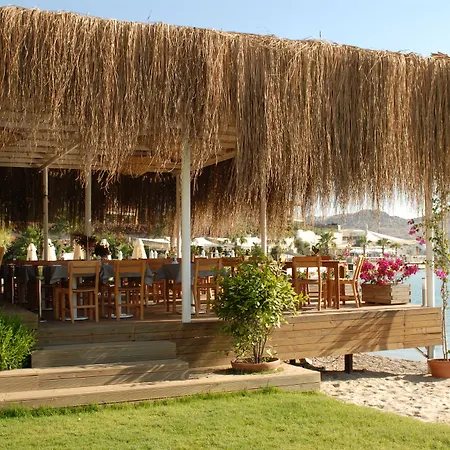 Hotell The Highlight Bodrum