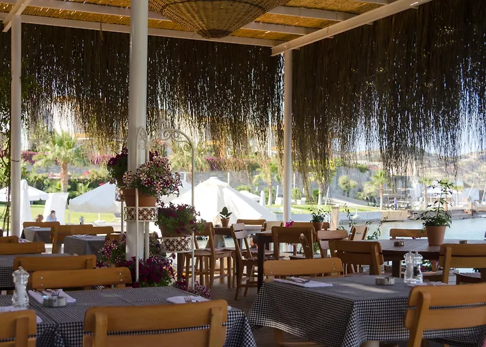 The Highlight Bodrum Yalikavak