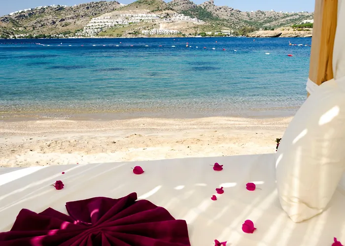 The Highlight Bodrum Отель 4*