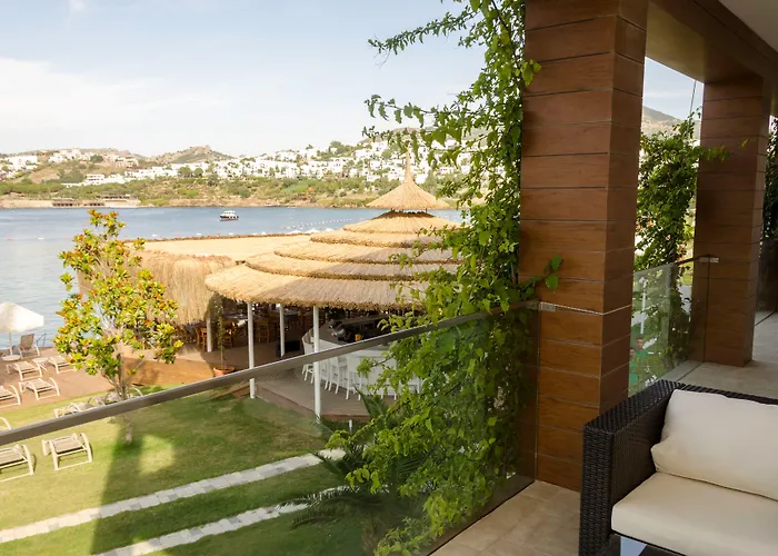 The Highlight Bodrum Отель