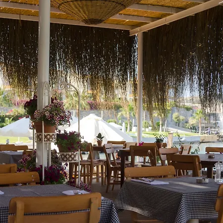 The Highlight Bodrum Yalıkavak