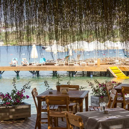 The Highlight Bodrum Hotel 4*